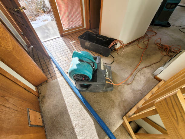 Best Water damage restoration cost  in New Franklin, OH