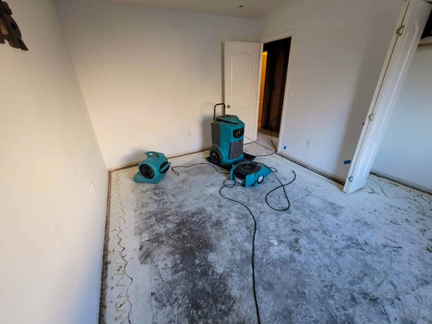 Best Flooded house restoration  in New Franklin, OH