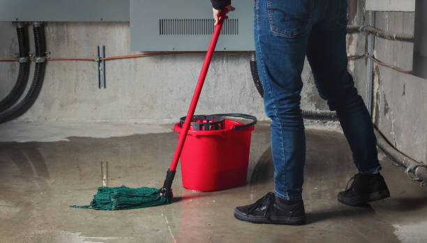 Best Commercial water damage restoration  in New Franklin, OH