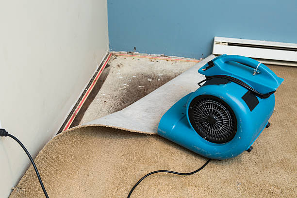 Best 24/7 water damage repair  in New Franklin, OH